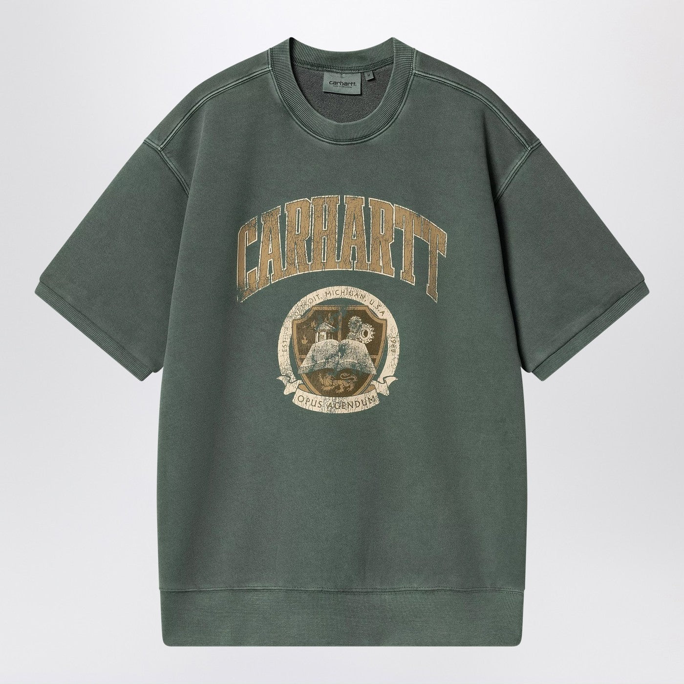 スウェット・トレーナー Carhartt Wip Library Sweatshirt In Conifer Green Carhartt Wip Library Sweatshirt In Conifer Green – Balardi