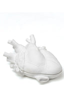 Container di Seletti "Love in a Box"