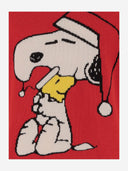 MC2 Saint Barth Wool Blend Reader con Snoopy