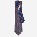 Salvatore Ferragamo Silk Tie With Fantasy Print