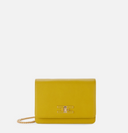 Elisabetta Franchi Small Shoulder Strap With Logo Plate