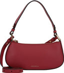 Coccinelle Merveille