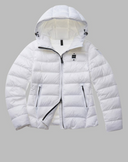 Blauer caroll