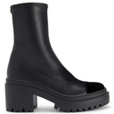 Giuseppe Zanotti Lionora