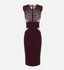 Elisabetta Franchi Dress With Coconut Embroidery