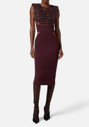 Elisabetta Franchi Dress With Coconut Embroidery