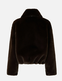 Pinko Main Coll. اسبانا