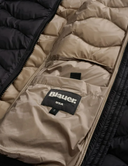 Blauer Camelia