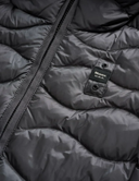 Blauer Camelia