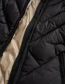 Blauer Alicia