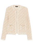 Fabiana Filippi Tweed Jacket