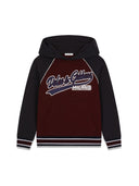 Dolce & Gabbana Sweat à capuche
