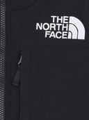 The North Face Denali Jacket