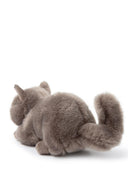 Bon Ton Toys The British Shorthair In Giftbox