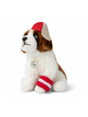 Bon Ton spielt den St. Bernard