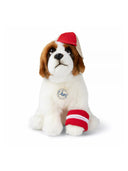 Bon Ton spielt den St. Bernard