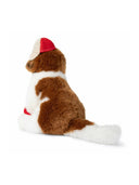 Bon Ton spielt den St. Bernard