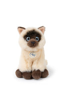 Bon Ton Toys The Siamese In Giftbox