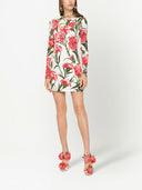 Dolce & Gabbana Printed Mini Dress