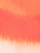 Alexander Mc Queen Printed Silk Blend Cotton Scarf