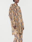 Roberto cavalli robes marron