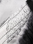 Alexander Mc Queen Dragonfly Print Swim Shorts