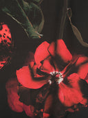 Alexander Mc Queen Rose Print Silk Scarf