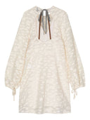 Alysi Fil Coupé Organza Short Dress