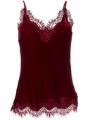 Gold Hawk Velvet Top