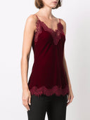 Gold Hawk Velvet Top