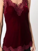 Gold Hawk Velvet Top