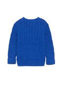 Polo Ralph Lauren Cardigan z logo