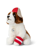 Bon Ton spielt den St. Bernard