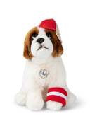 Bon Ton spielt den St. Bernard