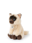 Bon Ton Toys The Siamese In Giftbox