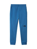 The North Face Pants "Y Dr Pe"