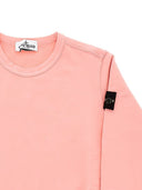 Stone Island Sweatshirt With Logo