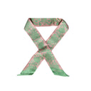 Etro Scarfs