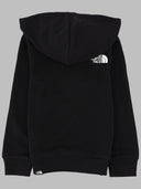 The North Face Teen Simple Dome Light Reg Hoodie Cedar