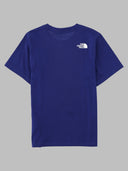 Koszulka The North Face Teen Evolution Halfdome Ss