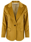 Giacche di soffitta e fienile ocra