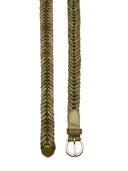 Dragon Diffusion Belts