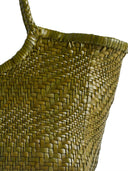 Bolsas de Difusión Dragón..