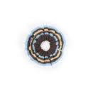Miu Miu Cotton Scrunchie