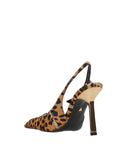 Schutz con talón manchado