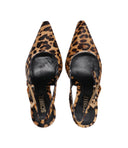 Schutz con talón manchado
