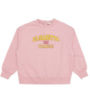Elisabetta Franchi Sweaters Pink