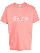 와일드 당나귀 투 델트