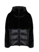Blauer Fanevil