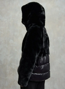 Blauer Fanevil